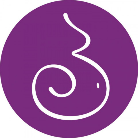 Visit Birth, Baby & Beyond Doulas