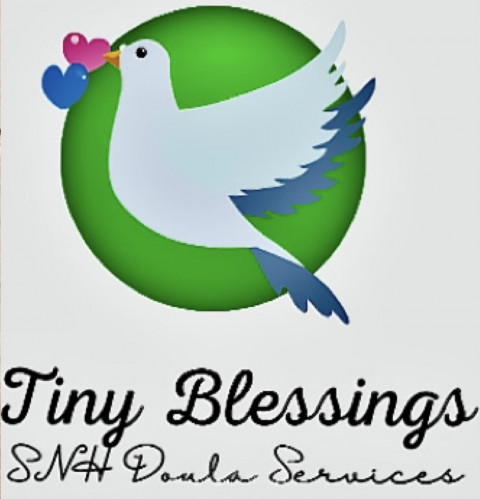 Visit Tiny Blessings SNH Doula Services